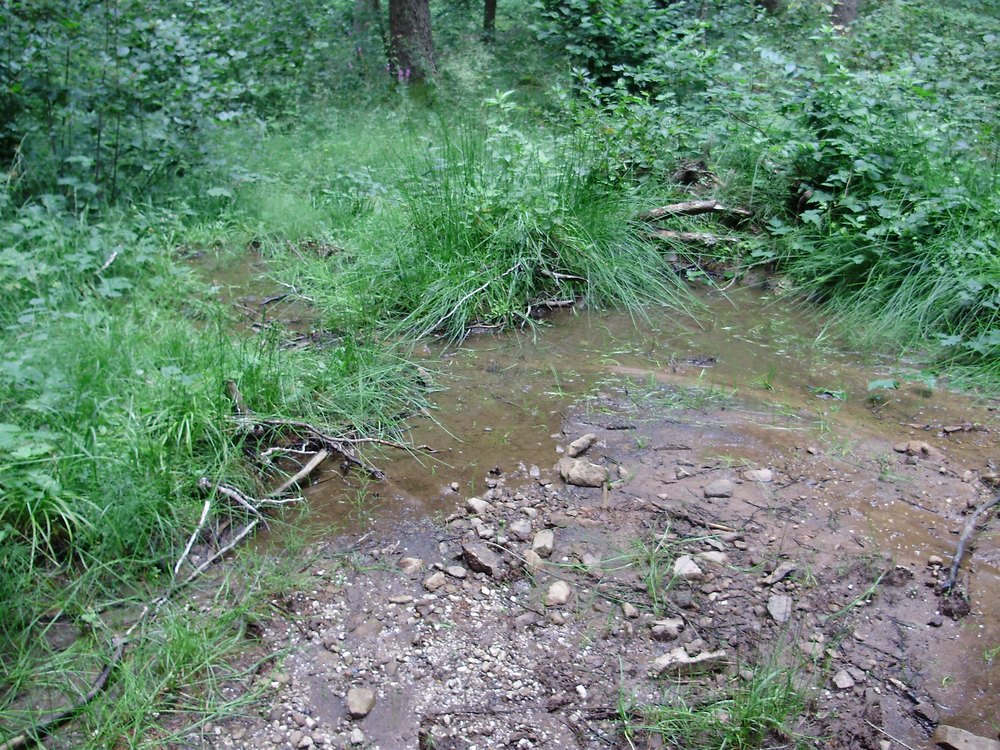 Tipologie di habitat dell''ululone nella collina atesina